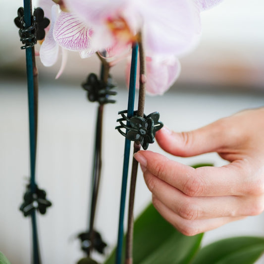 Gardman Plant & Flower Clips Pack of 10