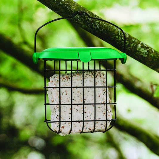 Gardman Seed & Mealworm Suet Feast Bird Food 300g