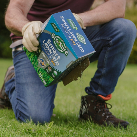 Gro-Sure Smart Lawn Seed Shady & Dry 20m2