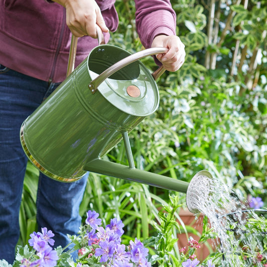 GroZone Sage Green Watering Can with Rose 9L