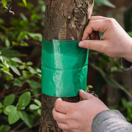 Growing Success Glue Band Traps 1.75m