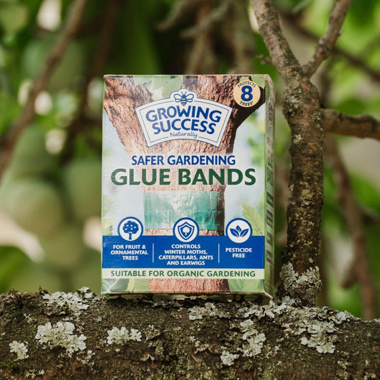 Growing Success Glue Band Traps 1.75m