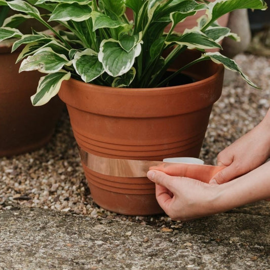 Growing Success Slug Copper Tape 4m