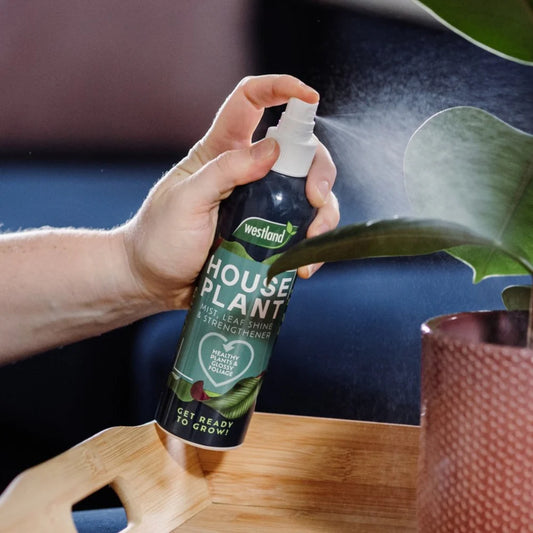 Westland Houseplant Mist & Leaf Shine 250ml