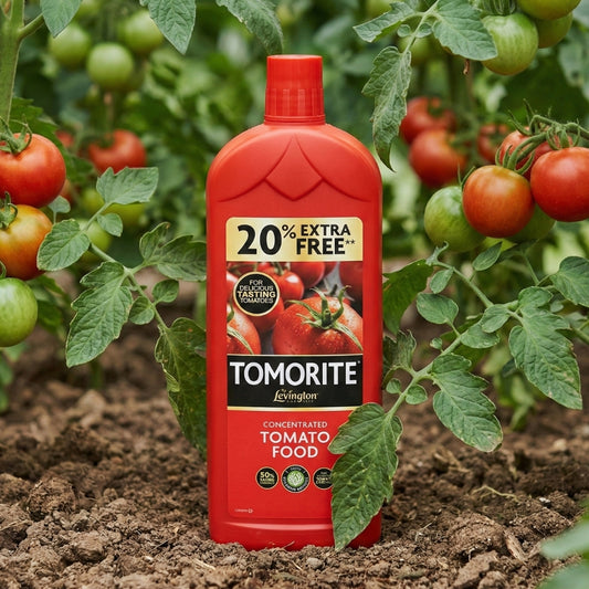 Levington Tomorite Concentrated Tomato Food 1L +20% Free