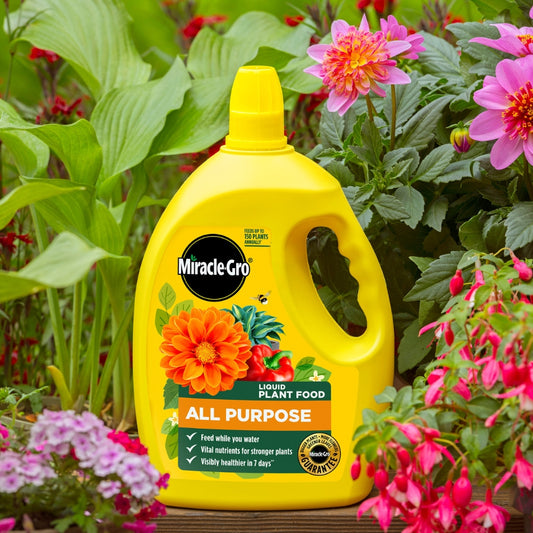 Miracle-Gro All Purpose Concentrated Liquid Plant Food 2.5L