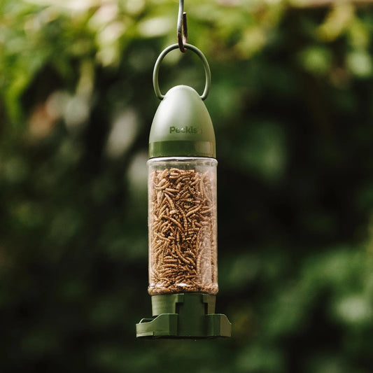 Peckish Mealworms Filled Bird Feeder
