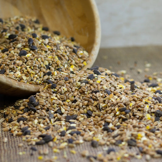 Peckish Natural Balance Seed Mix Bird Food 3.5kg