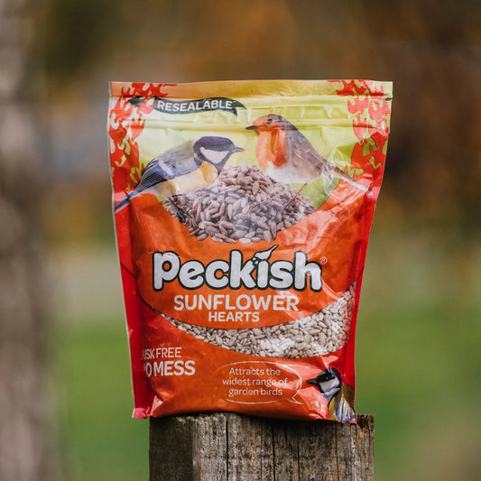 Peckish Sunflower Hearts Bird Food 2kg