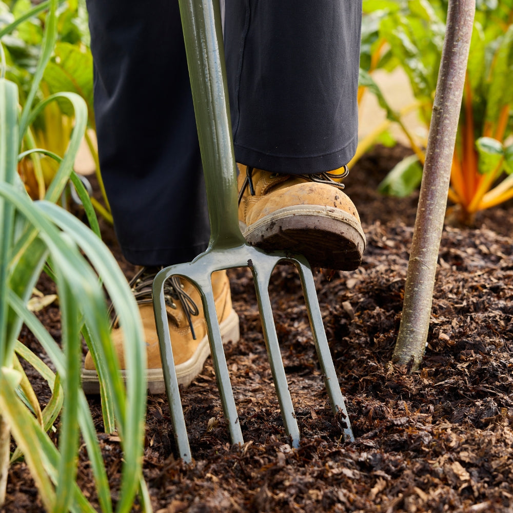 RHS Endorsed BoronGreen Steel Border Fork