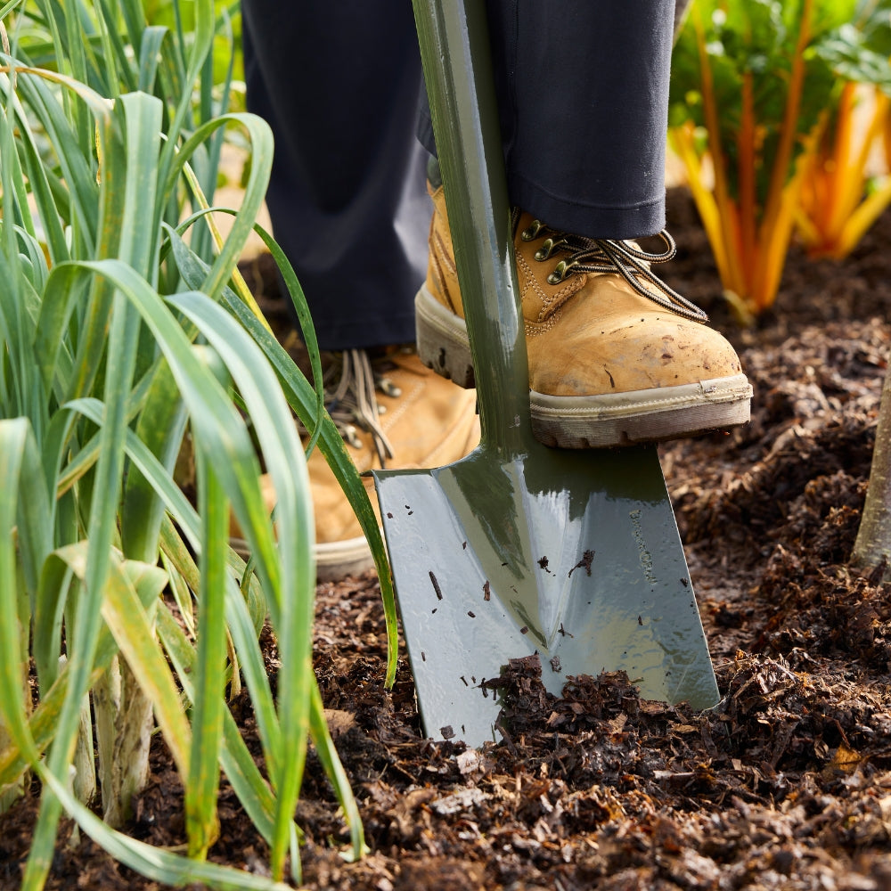 RHS Endorsed BoronGreen Steel Border Spade