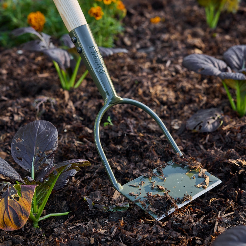 RHS Endorsed BoronGreen Steel Dutch Hoe