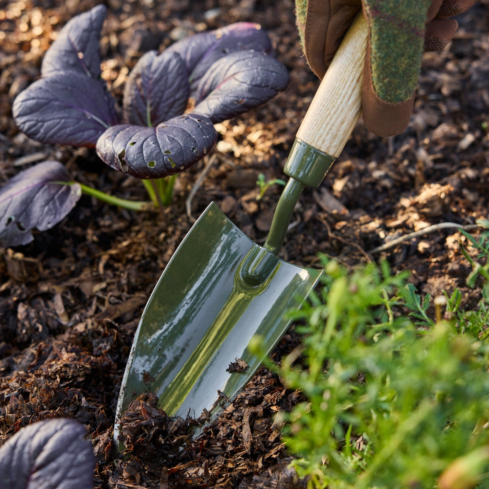 RHS Endorsed BoronGreen Steel Hand Trowel