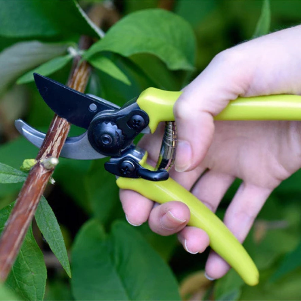 RHS Micro Secateurs Green Handle