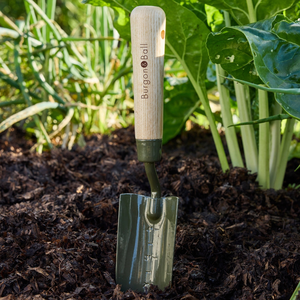 RHS Endorsed BoronGreen Steel Hand Transplanter Trowel