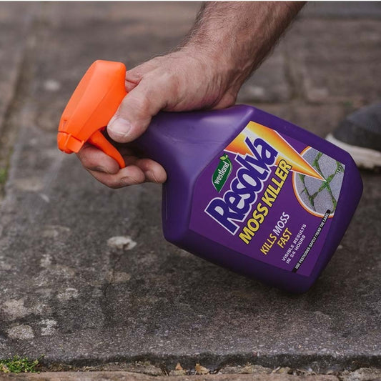 Resolva Moss Killer Ready to Use Spray Gun 1L