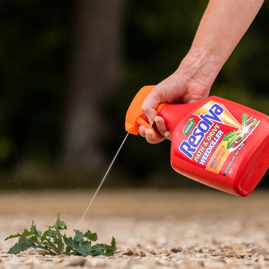 Resolva Path & Drive Ready to Use Weedkiller 1L