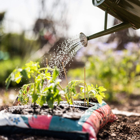 RocketGro Tomato & Veg Planter Grow Bag 60L