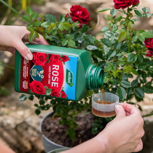 Westland Rose High Performance Liquid Plant Food 1L