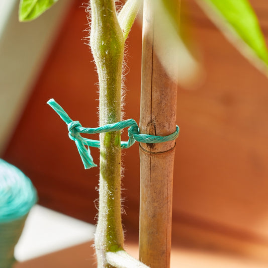 Rot Proof PolyTwine Green 250g