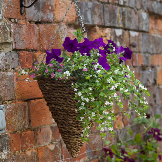 Smart Garden 12" Country Rattan Hanging Cone