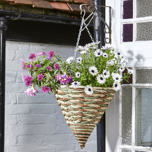 Smart Garden 14" Trinity Hanging Cone