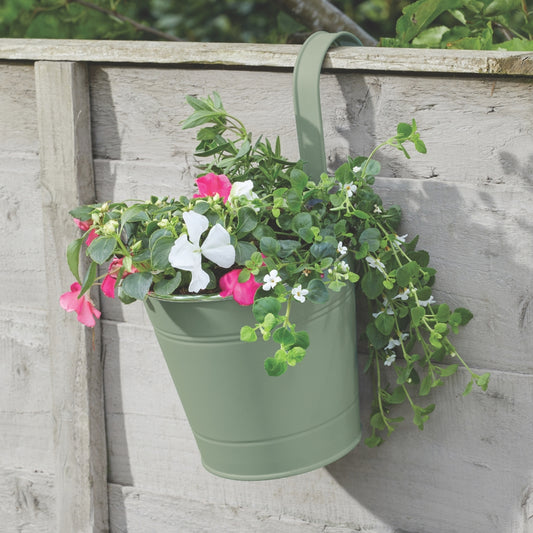 Smart Garden 6" Fence & Balcony Hanging Pot Sage