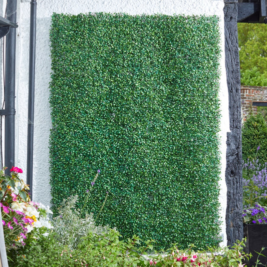 Smart Garden Boxwood Screening Panel 60x40cm