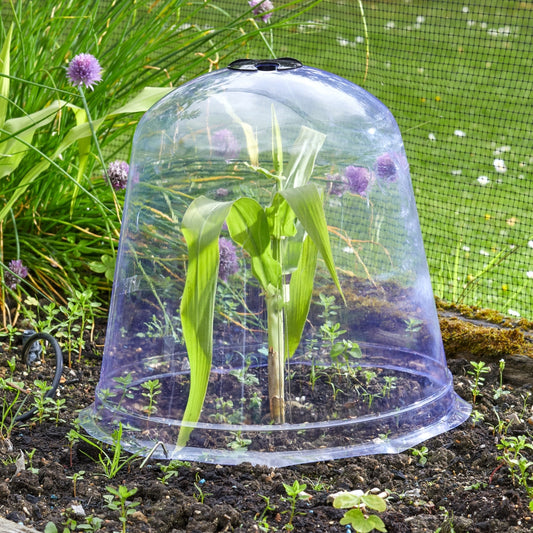 Jumbo Bell Cloche Plant Protection Cover