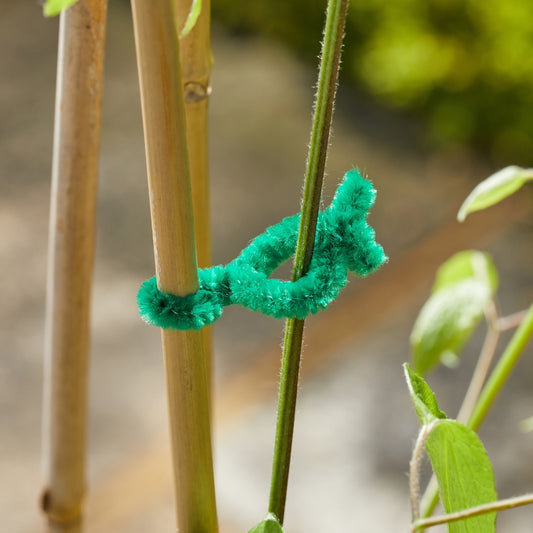 SofTies Plant Ties 15cm 50 Pack