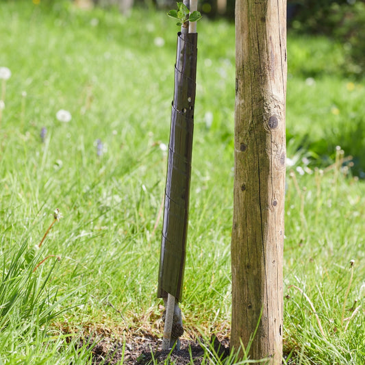 Spiral Tree Guard 60cm Tree Protector