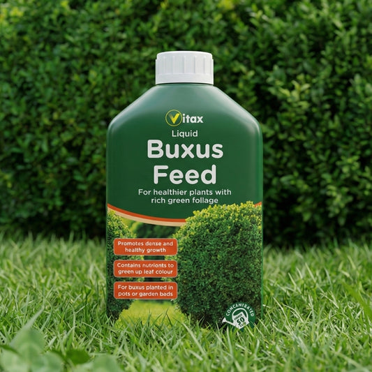 Vitax Buxus Liquid Feed Concentrate 1L