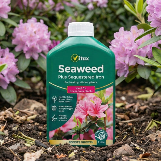 Vitax Seaweed Plus Sequestered Iron Concentrate 1L