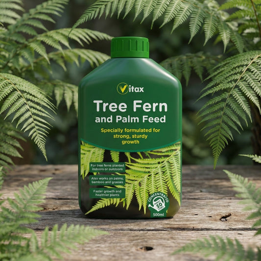 Vitax Tree Fern & Palm Feed Concentrate 500ml