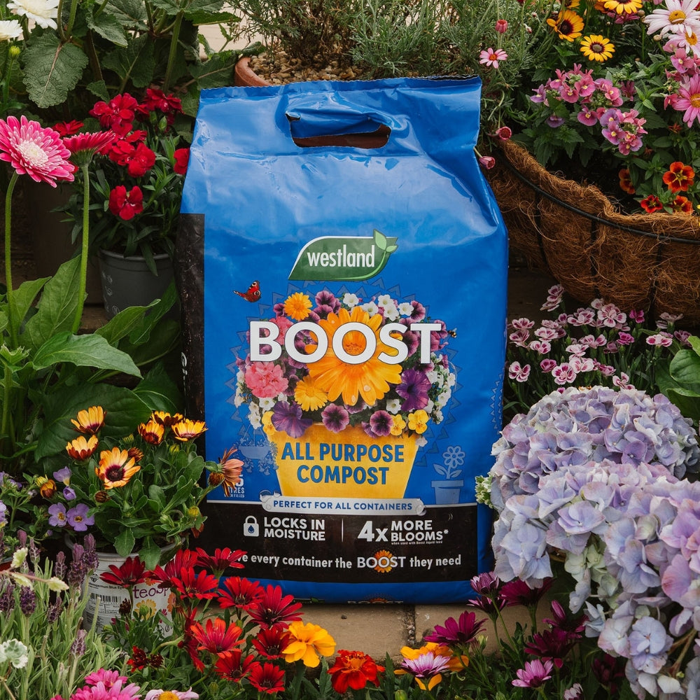 Westland Boost All Purpose Compost 25L