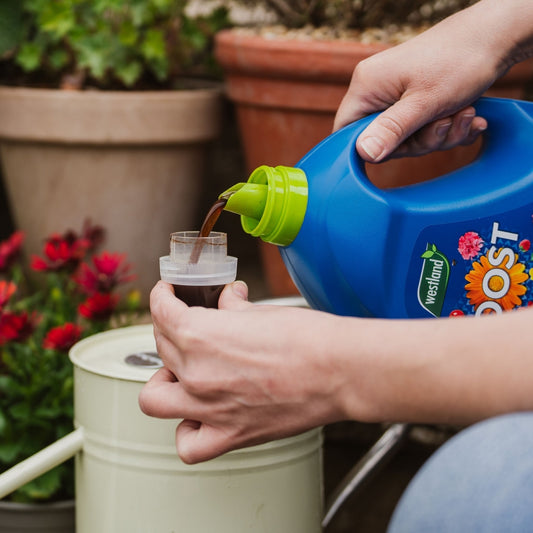 Westland Boost All Purpose Liquid Plant Feed Concentrate 3L