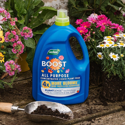 Westland Boost All Purpose Liquid Plant Feed Concentrate 3L