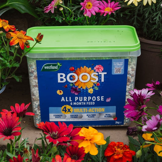 Westland Boost All Purpose Multi Action Granules 2kg
