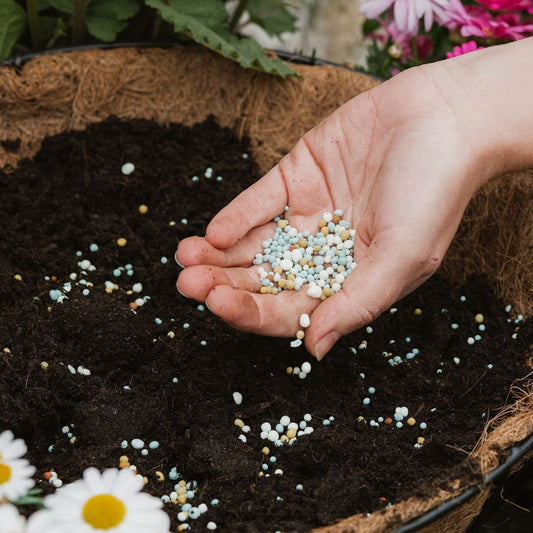 Westland Boost All Purpose Multi Action Granules 2kg