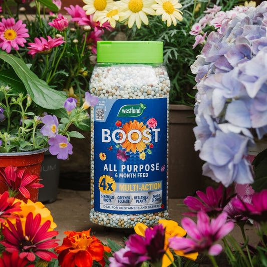 Westland Boost All Purpose Multi Action Granules 750g