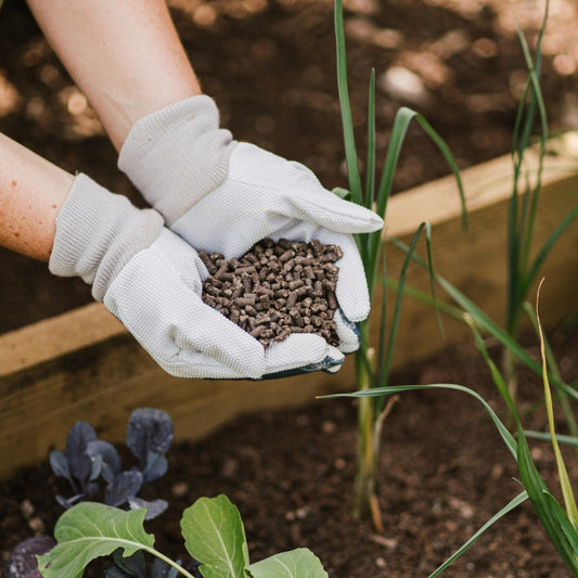 Westland Chicken Manure Pellets 2.25kg + 25% Extra Free