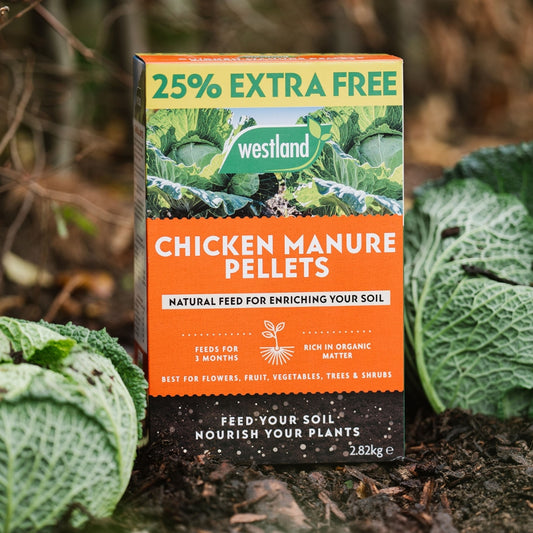 Westland Chicken Manure Pellets 2.25kg + 25% Extra Free
