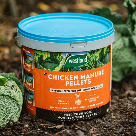 Westland Chicken Manure Pellets Organic Plant Feed 8kg