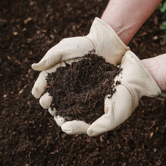 Westland Composted Bark 70L