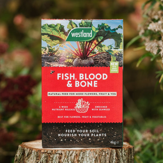 Westland Fish, Blood & Bone Natural Plant Feed 4kg