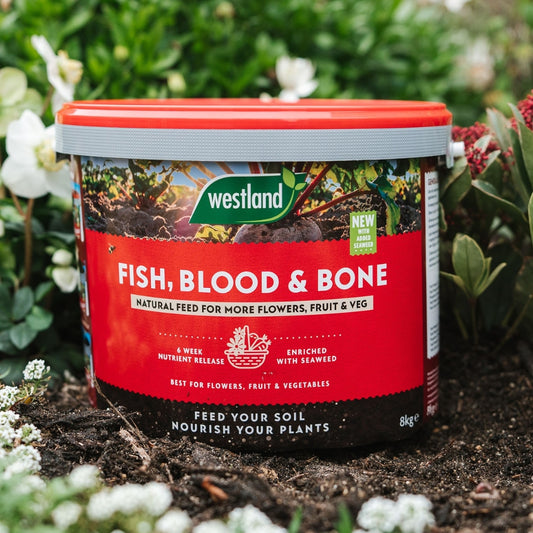 Westland Fish, Blood & Bone Natural Plant Feed 8kg