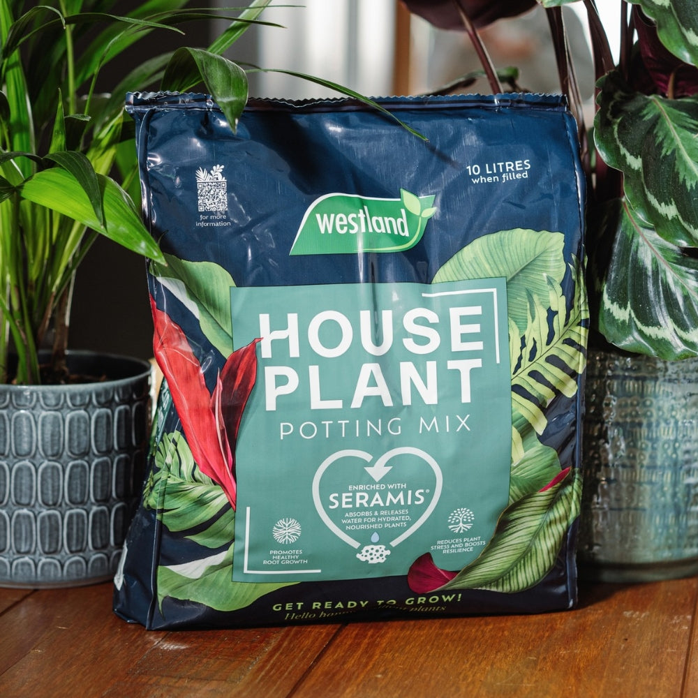 Westland Houseplant Potting Mix 10L