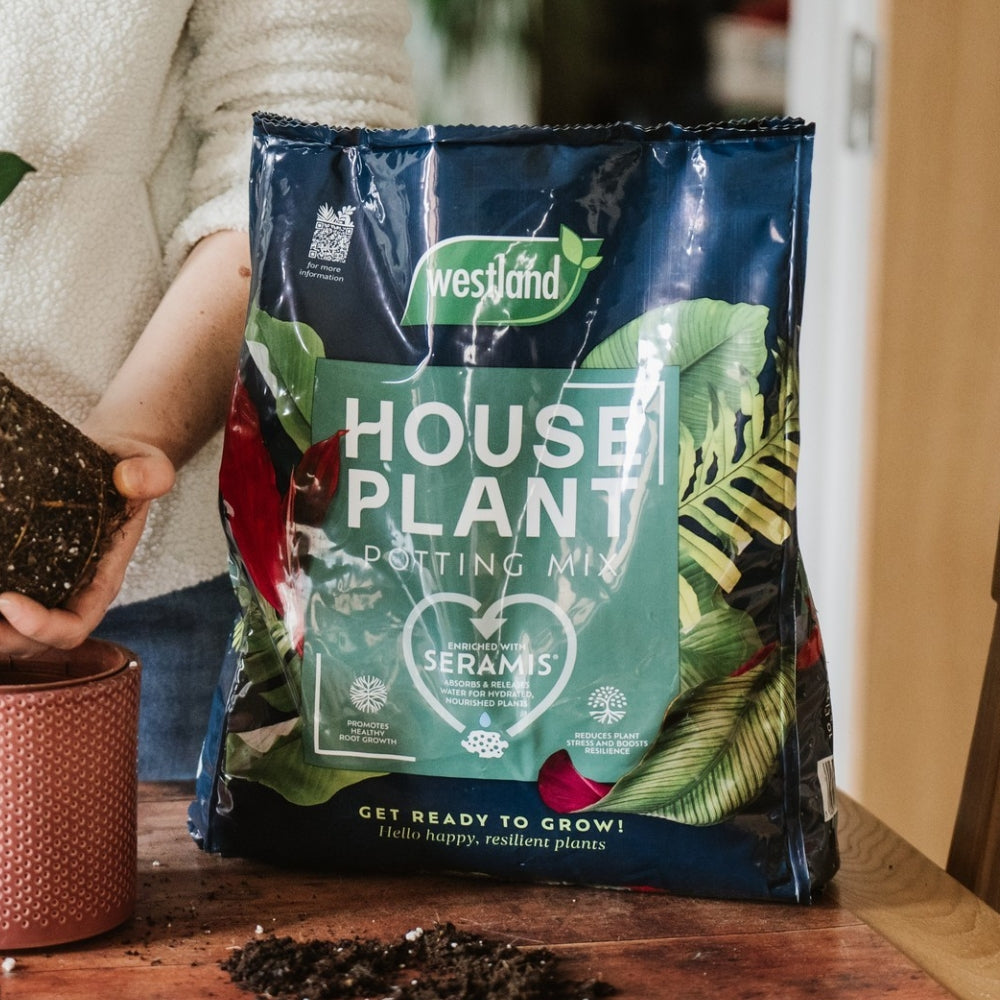 Westland Houseplant Potting Mix 20L