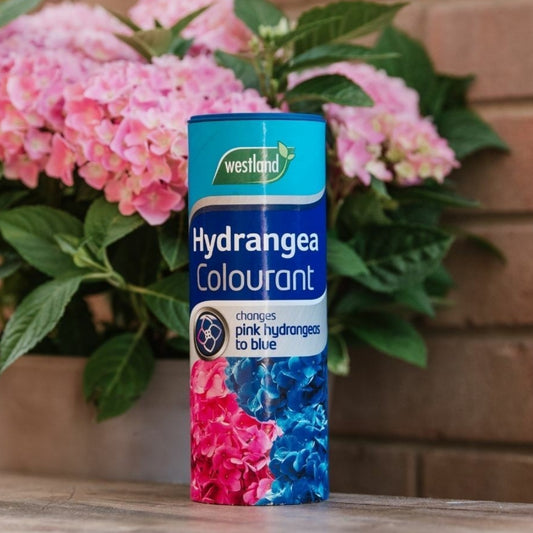 Westland Hydrangea Colourant 500g