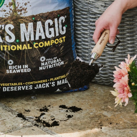Jack's Magic Multi Purpose Compost 50L